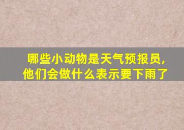 哪些小动物是天气预报员,他们会做什么表示要下雨了