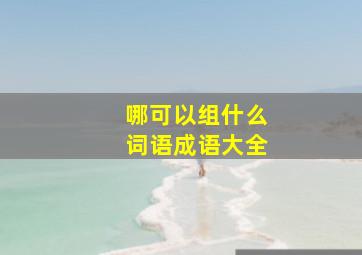 哪可以组什么词语成语大全