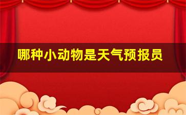 哪种小动物是天气预报员