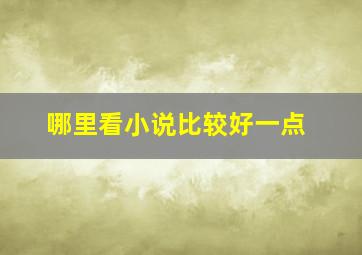 哪里看小说比较好一点