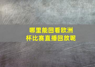 哪里能回看欧洲杯比赛直播回放呢