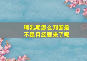 哺乳期怎么判断是不是月经要来了呢