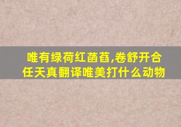 唯有绿荷红菡萏,卷舒开合任天真翻译唯美打什么动物