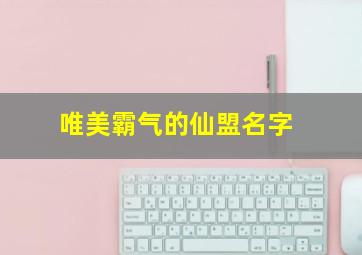 唯美霸气的仙盟名字