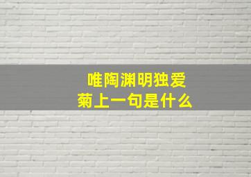 唯陶渊明独爱菊上一句是什么