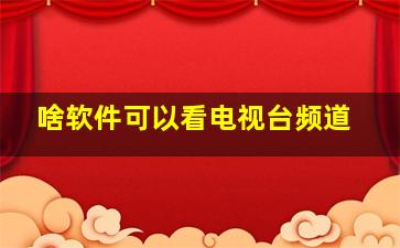 啥软件可以看电视台频道