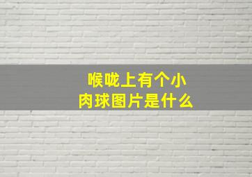 喉咙上有个小肉球图片是什么