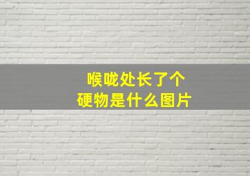 喉咙处长了个硬物是什么图片