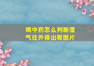 喝中药怎么判断湿气往外排出呢图片