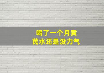 喝了一个月黄芪水还是没力气