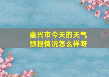 嘉兴市今天的天气预报情况怎么样呀