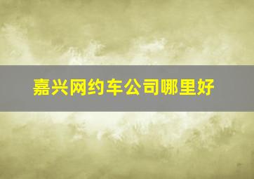 嘉兴网约车公司哪里好