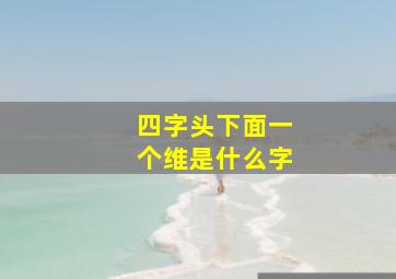 四字头下面一个维是什么字