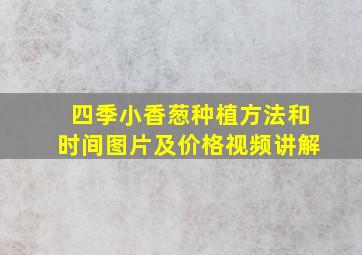 四季小香葱种植方法和时间图片及价格视频讲解