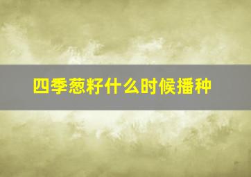 四季葱籽什么时候播种