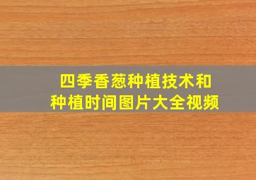 四季香葱种植技术和种植时间图片大全视频