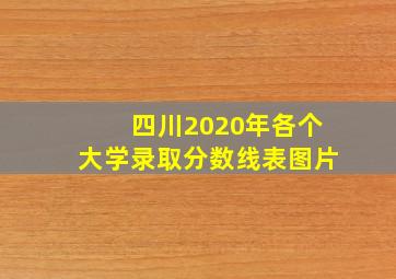 四川2020年各个大学录取分数线表图片