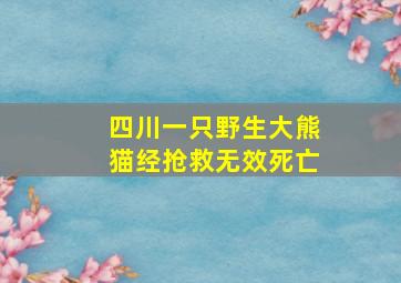 四川一只野生大熊猫经抢救无效死亡