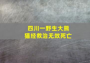 四川一野生大熊猫经救治无效死亡