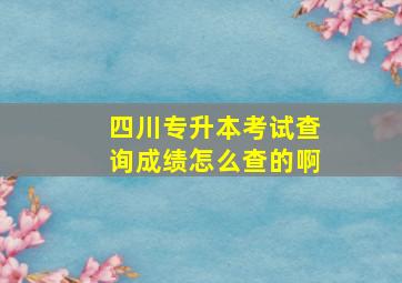 四川专升本考试查询成绩怎么查的啊