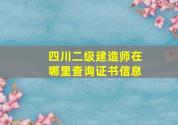 四川二级建造师在哪里查询证书信息