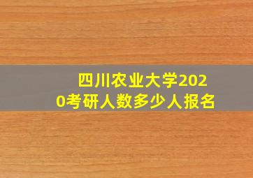 四川农业大学2020考研人数多少人报名