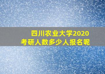 四川农业大学2020考研人数多少人报名呢