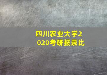 四川农业大学2020考研报录比