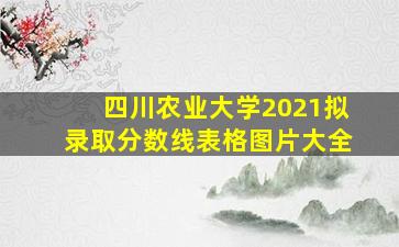 四川农业大学2021拟录取分数线表格图片大全