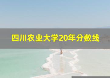 四川农业大学20年分数线