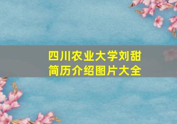 四川农业大学刘甜简历介绍图片大全