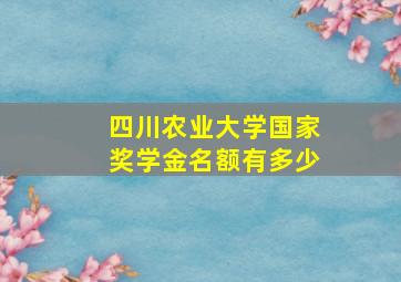 四川农业大学国家奖学金名额有多少