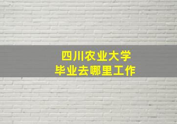 四川农业大学毕业去哪里工作