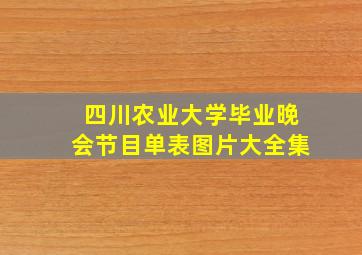 四川农业大学毕业晚会节目单表图片大全集