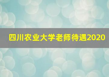 四川农业大学老师待遇2020