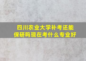 四川农业大学补考还能保研吗现在考什么专业好