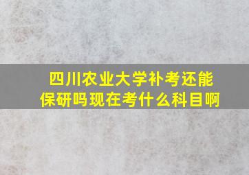 四川农业大学补考还能保研吗现在考什么科目啊