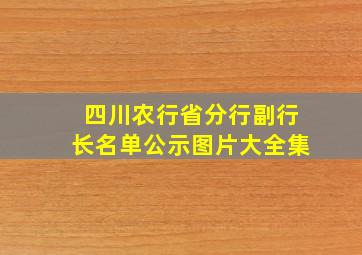 四川农行省分行副行长名单公示图片大全集