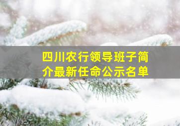 四川农行领导班子简介最新任命公示名单