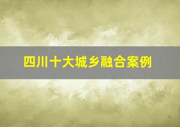 四川十大城乡融合案例