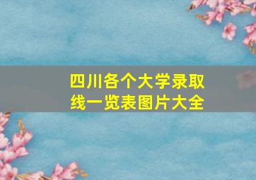 四川各个大学录取线一览表图片大全