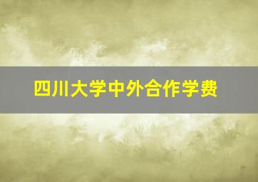 四川大学中外合作学费