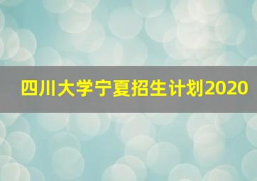 四川大学宁夏招生计划2020