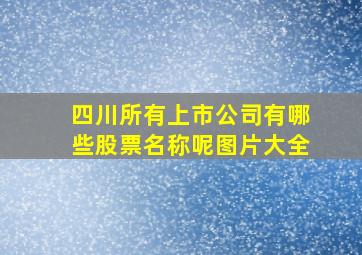 四川所有上市公司有哪些股票名称呢图片大全