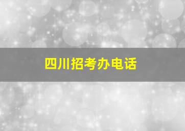 四川招考办电话