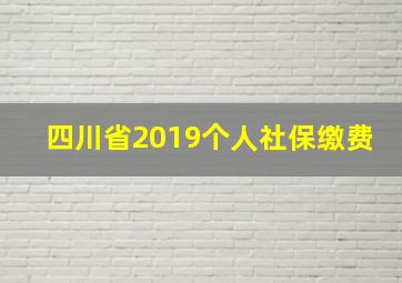 四川省2019个人社保缴费