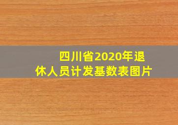 四川省2020年退休人员计发基数表图片