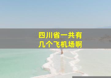 四川省一共有几个飞机场啊