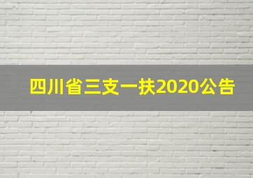 四川省三支一扶2020公告