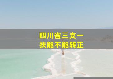 四川省三支一扶能不能转正